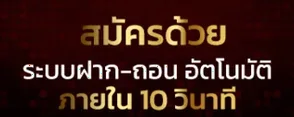 VIP 5 ระดับ — สิทธิพิเศษ + Cashback สูงสุด 15%